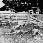 Soldiers of a Louisiana regiment near a fence (September 1862, Alexander Gardner, photographer; Library of Congress)
