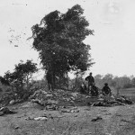 Confederate dead litter the ground around a small wooded mound (September 19, 1862, Alexander Gardner, photographer; Library of Congress) 