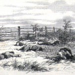 Over a half dozen dead Confederate soldiers line a fence along the Hagerstown road in this sketched reproduction of a photograph (Harper's Weekly, October 18, 1862; NPS Historical Collection)