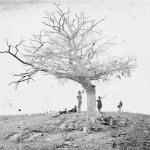 A solitary grave, a barren tree and several Union soldiers share a hilltop on the battlefield (September 1862, Alexander Gardner, photographer; Library of Congress)