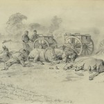 Horses are sprawled around artillery equipment along a grove of trees on the first day after the cessation of fighting (July 4, 1863, Edwin Forbes, artist; Library of Congress) 