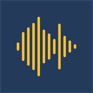 audio-icon audio-icon